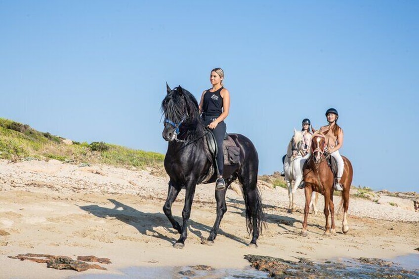 3-Hour Beach Horse Riding to Discover the Beauty of Alcudia Bay