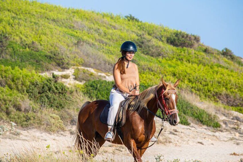 3-Hour Beach Horse Riding to Discover the Beauty of Alcudia Bay