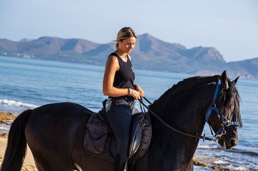 3-Hour Beach Horse Riding to Discover the Beauty of Alcudia Bay