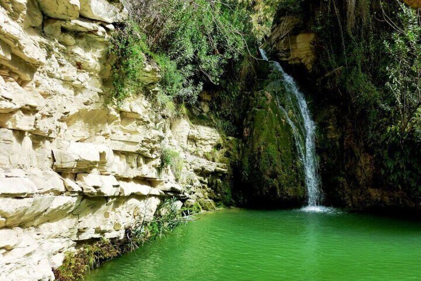 Private Jeep Safari Akamas Peninsula including Adonis Waterfalls