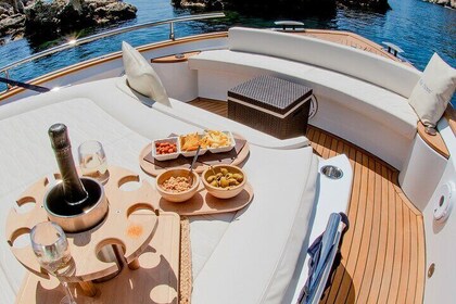 2 Hour Sunset Dolphin Watching Shared Tour in luxury boat