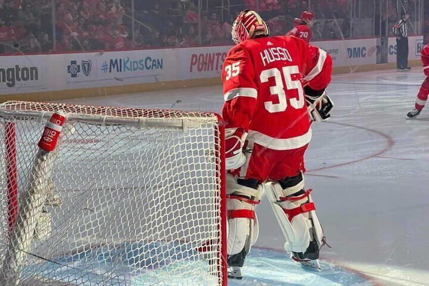 Detroit Red Wings Ice Hockey Game at Little Caesars Arena