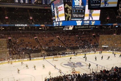 Toronto Maple Leafs ishockeykamp på Scotiabank Arena