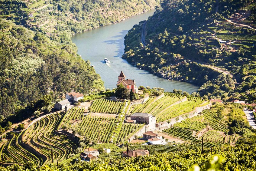 Picture 24 for Activity From Porto: Douro Valley w/ Boat Tour, Wine Tasting & Lunch