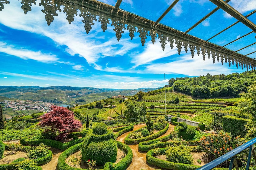 Picture 2 for Activity From Porto: Douro Valley w/ Boat Tour, Wine Tasting & Lunch