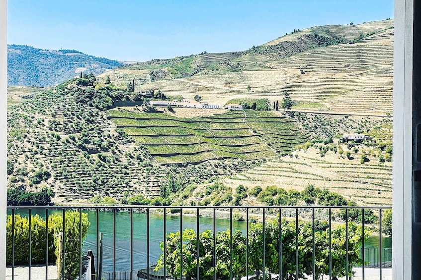 Picture 22 for Activity From Porto: Douro Valley w/ Boat Tour, Wine Tasting & Lunch