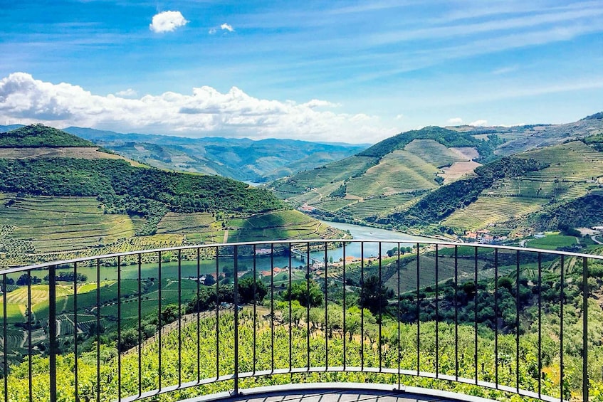 Picture 13 for Activity From Porto: Douro Valley w/ Boat Tour, Wine Tasting & Lunch