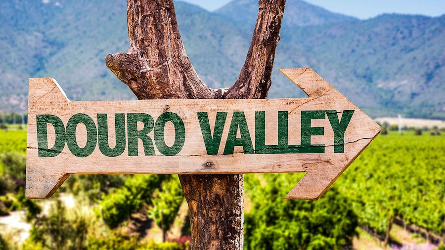 From Porto: Douro Valley w/ Boat Tour, Wine Tasting & Lunch
