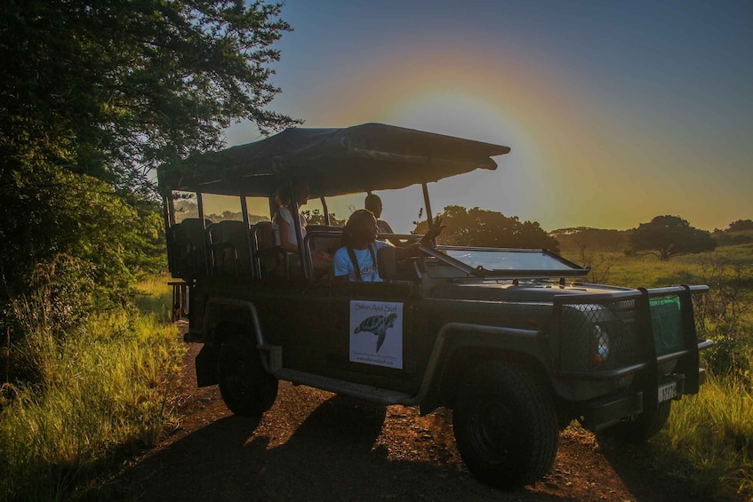 From St Lucia: Cape Vidal Full-Day Snorkeling Safari