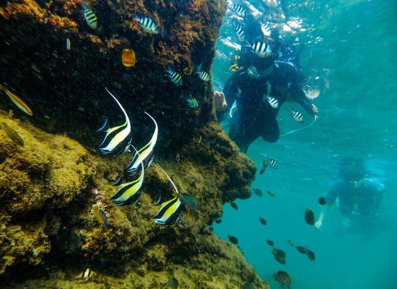 Picture 2 for Activity From St Lucia: Cape Vidal Full-Day Snorkeling Safari