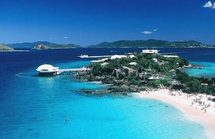 Saint Thomas: Coral World Ocean Park Ticket