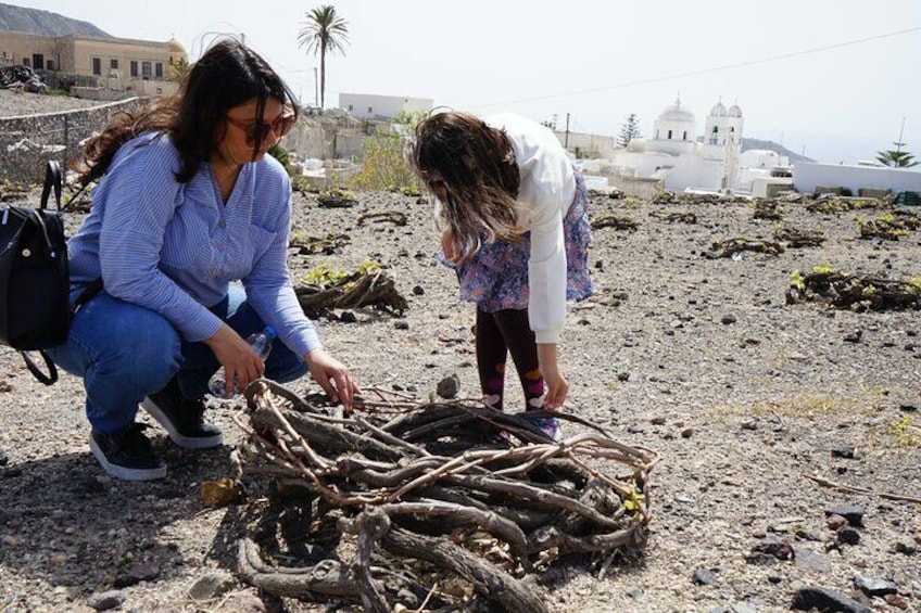 Santorini Semi-Private Small Group Sightseeing Tour