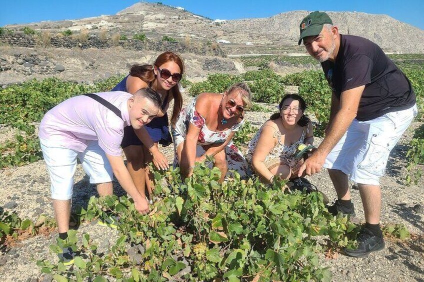Santorini Semi-Private Small Group Sightseeing Tour