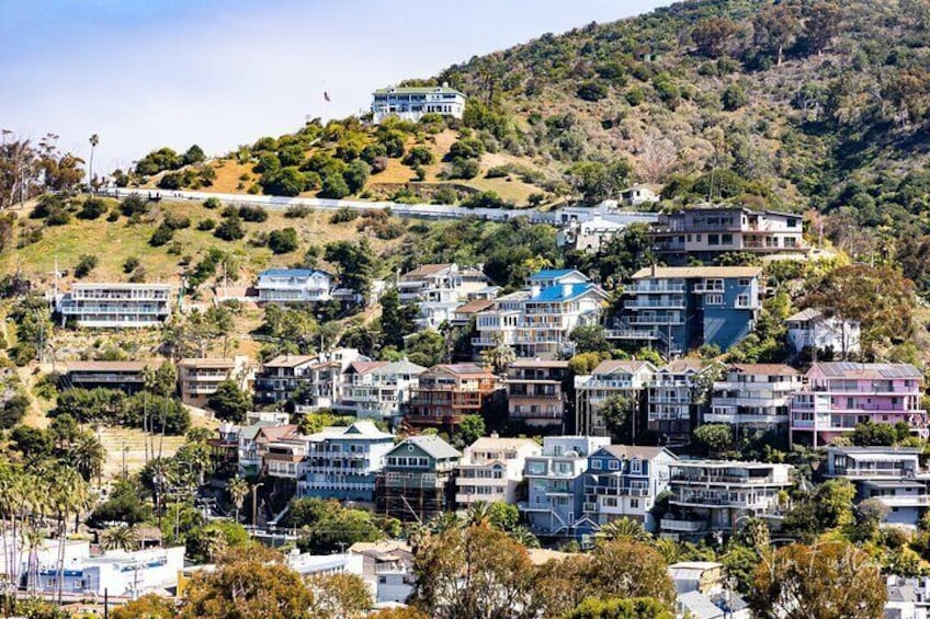 2 Hour Private Tour of Avalon