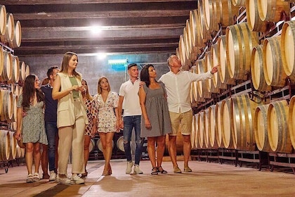Tour de medio día por bodegas y aceite de oliva con almuerzo desde Mendoza