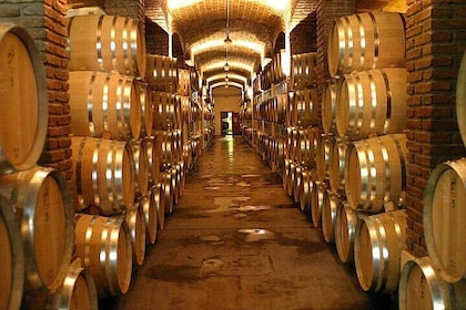 Tour de medio día por bodegas y aceite de oliva con almuerzo desde Mendoza