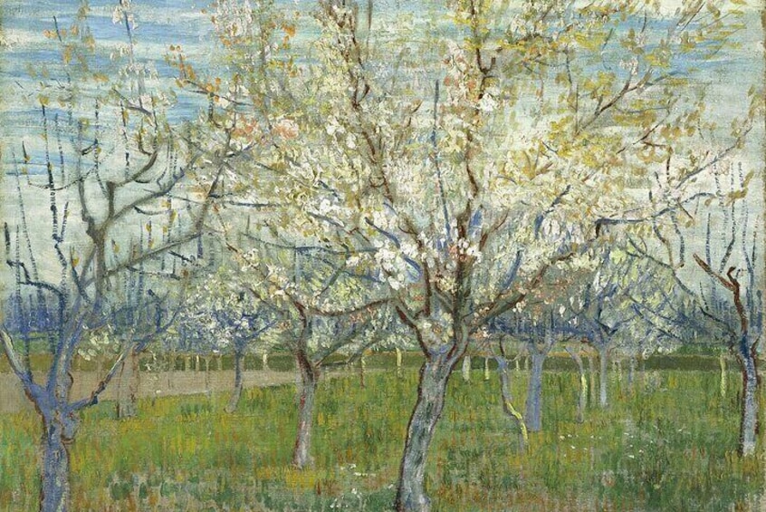 Explore Blossoms Almond Cruise Beauty Audio Tour