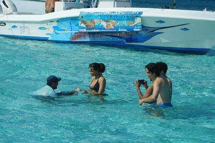 Aventura en Stingray City, snorkel en el arrecife y Star Fish Point