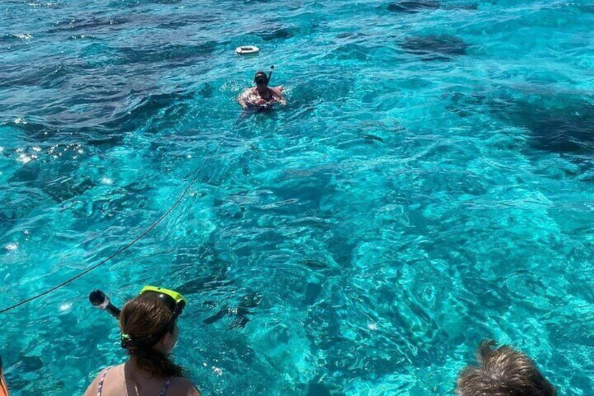 Guest Enjoying the Reef Snorkeling