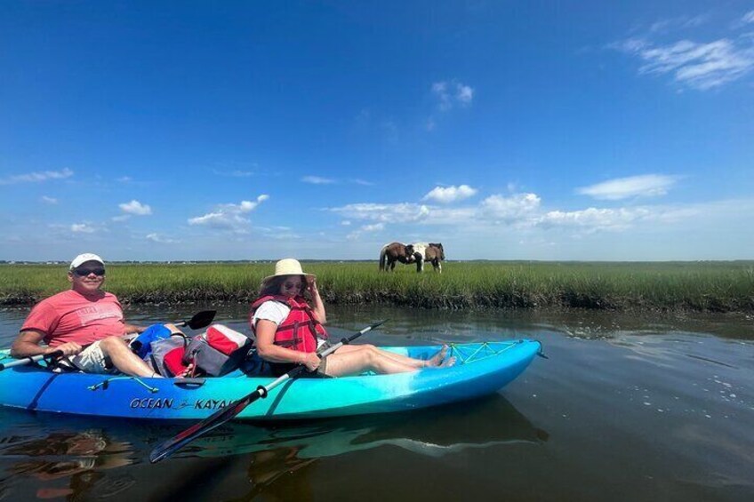Double Sit on Top Kayak Rental at Assateague Island, MD