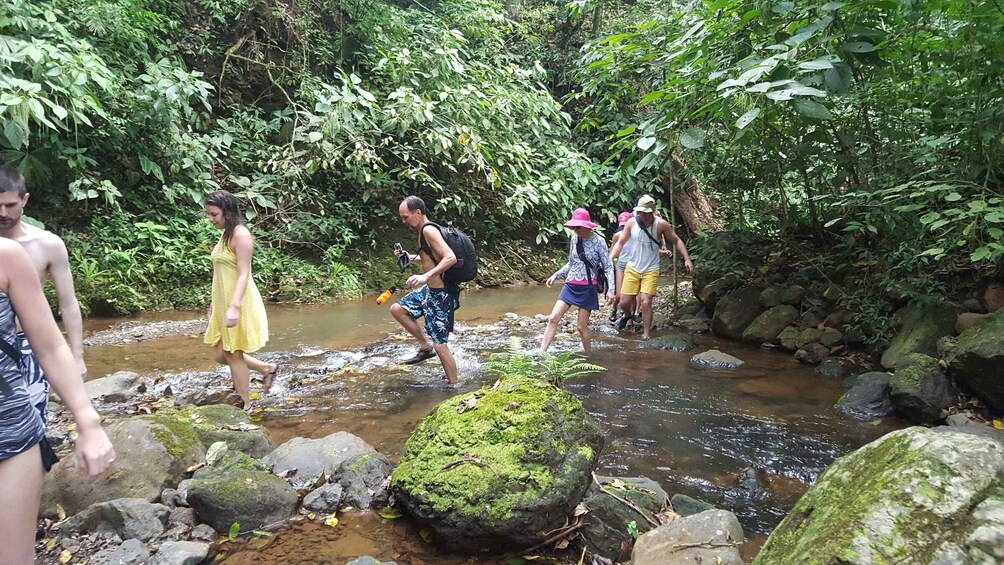 Picture 6 for Activity Jaco: Canyoning and Canopy Tour