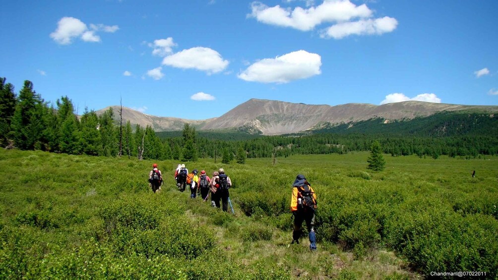 Picture 6 for Activity From Ulaanbaatar: UNESCO Bogd Khan Mountain & Monastery