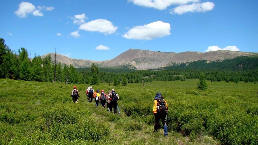 Picture 6 for Activity From Ulaanbaatar: UNESCO Bogd Khan Mountain & Monastery