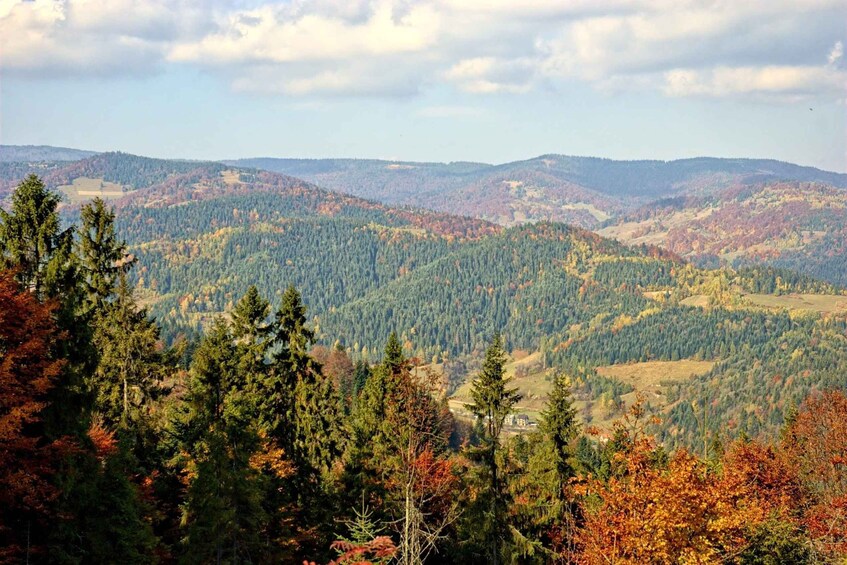 Picture 4 for Activity Pieniny Mountains: Hiking and Rafting Tour from Krakow