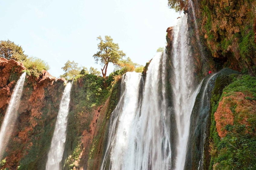 Picture 8 for Activity From Marrakech: Ouzoud Waterfalls Guided Tour & Boat Ride