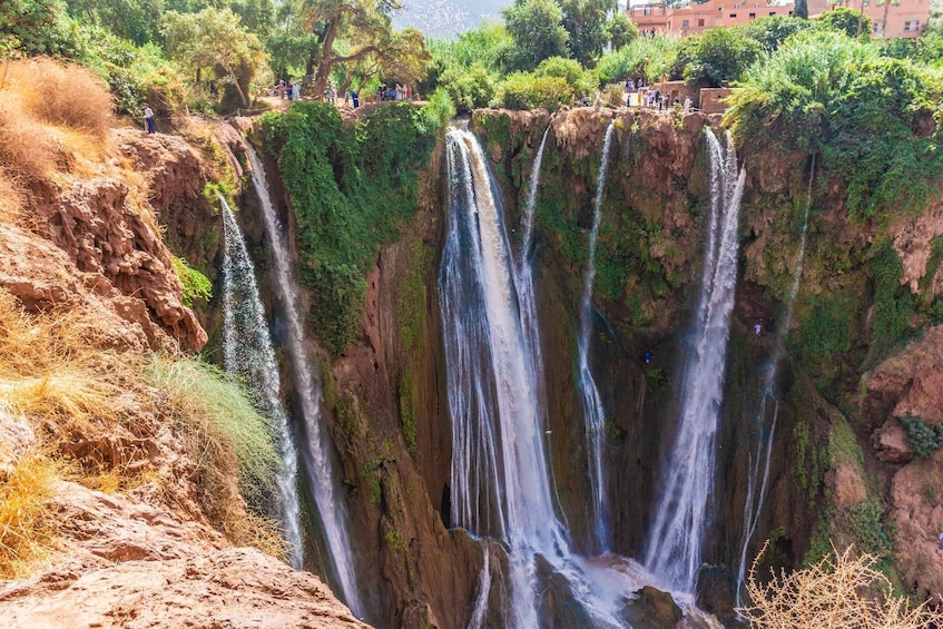 Picture 13 for Activity From Marrakech: Ouzoud Waterfalls Guided Tour & Boat Ride