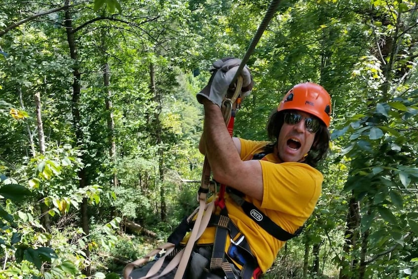 Picture 1 for Activity Lexington: Fully Guided Zipline Canopy Tour