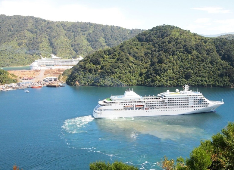 Private Shore Excursion from Picton: Marlborough Highlights