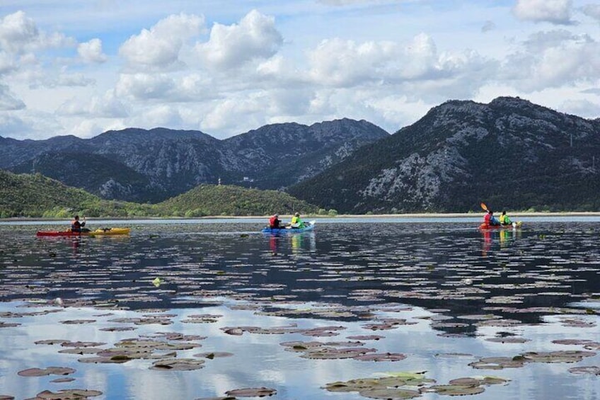 Skadar Lake on kayaks Experience with Spectacular Views