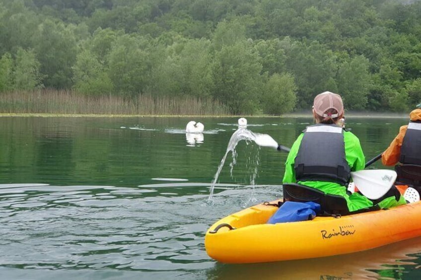 Skadar Lake on kayaks Experience with Spectacular Views