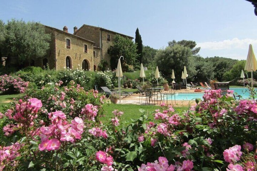 8 Days Best of Tuscany Private Tour