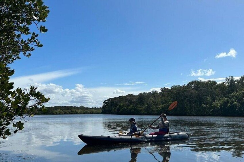 Noosa Sightseeing Adventure - Ferry Cruise, Ride and Kayak