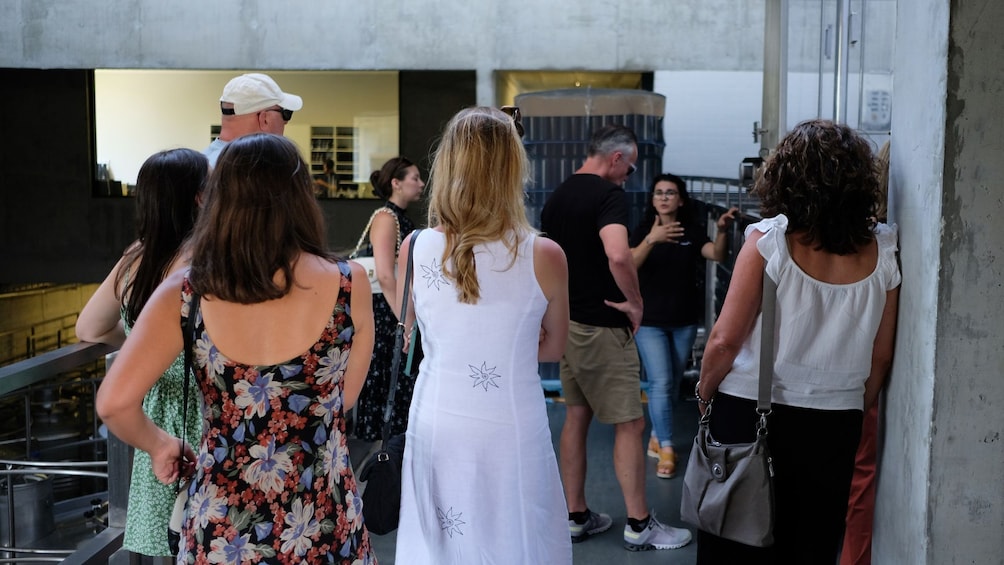Small-group Douro Valley Wine Tour with 2 Tastings, Lunch and River Cruise