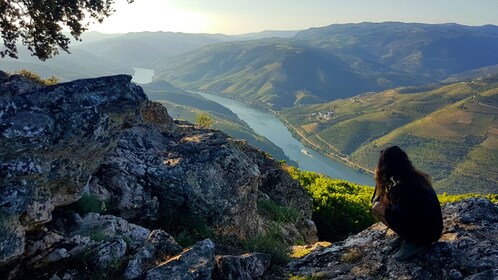 Petit groupe Douro Valley Wine Tour avec 2 dégustations, déjeuner et croisi...