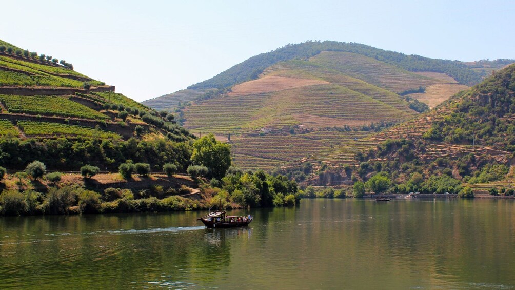 Small-group Douro Valley Wine Tour with 2 Tastings, Lunch and River Cruise