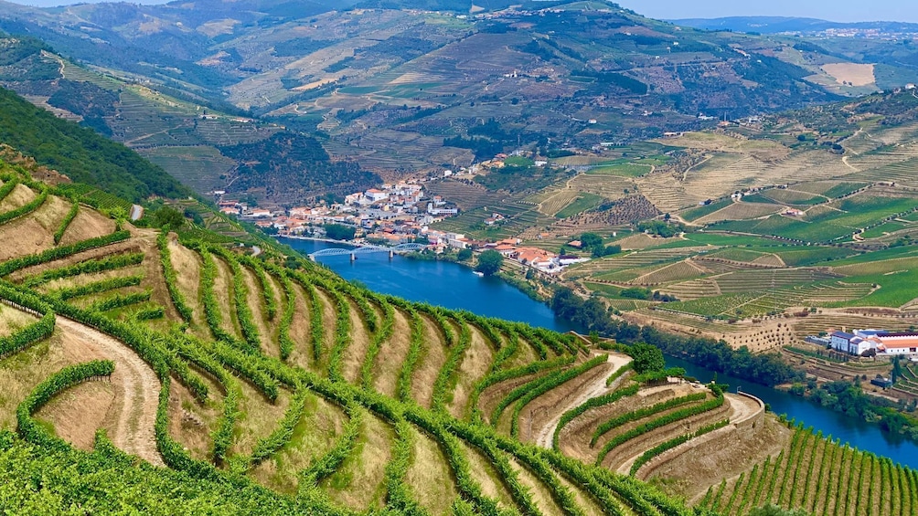 Small-group Douro Valley Wine Tour with 2 Tastings, Lunch and River Cruise
