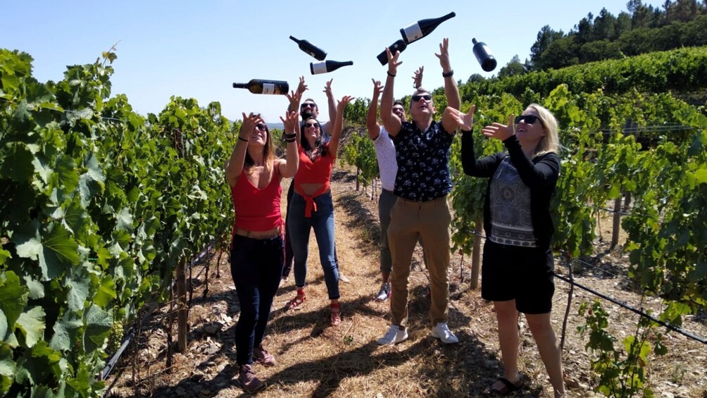 Small-group Douro Valley Wine Tour with 2 Tastings, Lunch and River Cruise