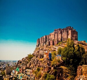 ทัวร์ส่วนตัว: หมู่บ้าน Bishnoi & เมือง Jodhpur