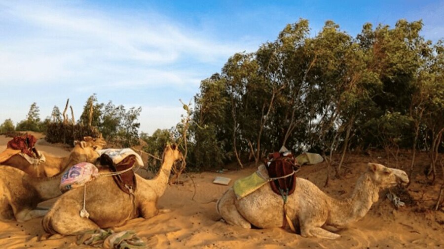 2 Day Trip: Pink Lake -> Night in Lompoul Desert -> St Louis
