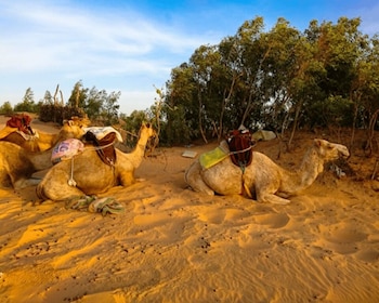 Voyage de 2 jours : Lac Rose -> nuit dans le désert de Lompoul -> st Louis
