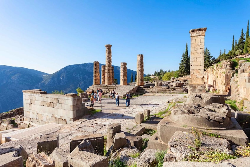 Picture 5 for Activity Delphi Guided Walking Tour and Admission Ticket