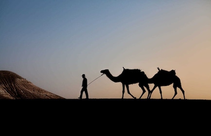 Desde Marrakech: Paseo en camello al atardecer en el desierto de Agafay