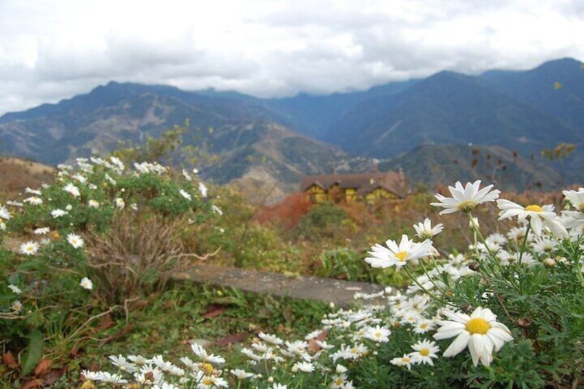 Sun Moon Lake and Qingjing Shared Day Tour Taiwan