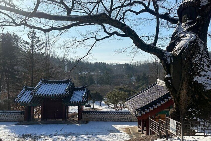 Full Day Private Tour in Seoul with Crystal Goldola