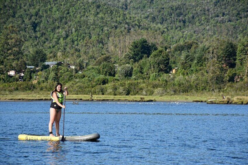 Valdivia SUP Cruises for 6 People with Transportation Included
