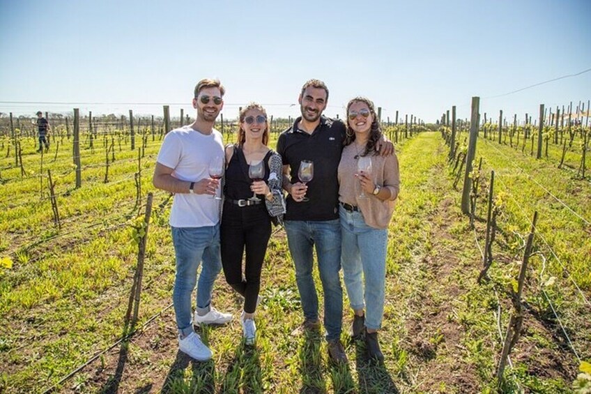 Small-Group Wine Tasting Tour with Lunch at Bodega Gamboa